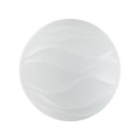 Настенно-потолочный светодиодный светильник Sonex Pale Erica 2090/DL