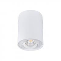 Точечный светильник Kanlux BORD DLP-50-W 22551