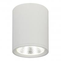 Потолочный светодиодный светильник Escada 20003SMU/02LED SWH