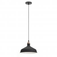 Подвесной светильник ЭРА Loft PL2 BK/RC Б0037413