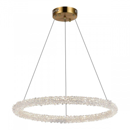 Подвесной светодиодный светильник ST Luce Avana SL6110.213.01