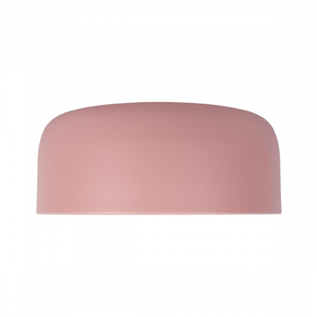Потолочный светодиодный светильник Loft IT Axel 10201/350 Pink
