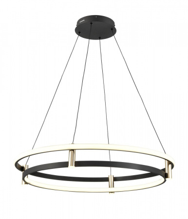 Подвесной светодиодный светильник Vele Luce Libertas VL7314P24