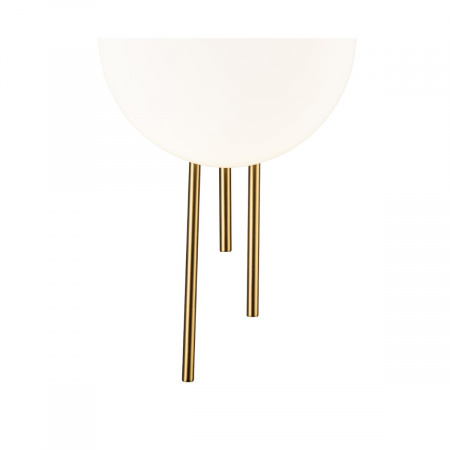 Настенный светодиодный светильник Indigo ASTRO 14007/1W Brass V000044L