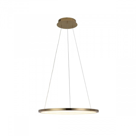 Подвесной светодиодный светильник Loft IT Ring 10014M