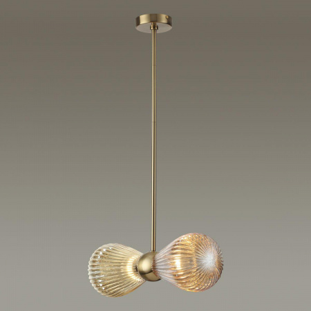 Подвесная люстра Odeon Light Exclusive Elica 5402/2