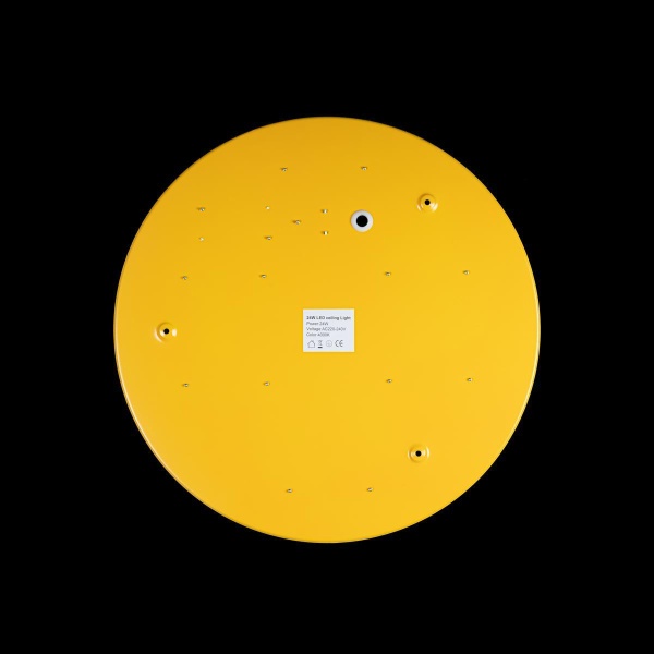 Потолочный светодиодный светильник Loft IT Axel 10002/24 yellow